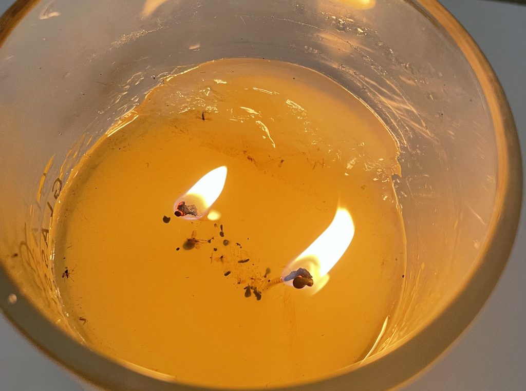 دود-کردن-شمع
