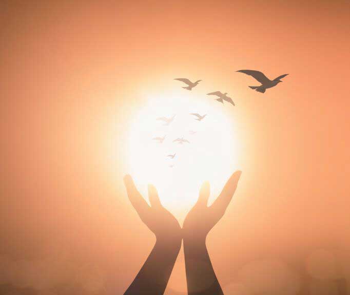 شمع-زرد